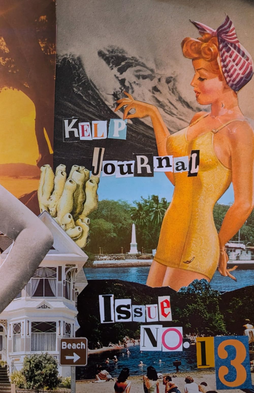 Kelp Journal: Issue No 13 Contemporary literature Books