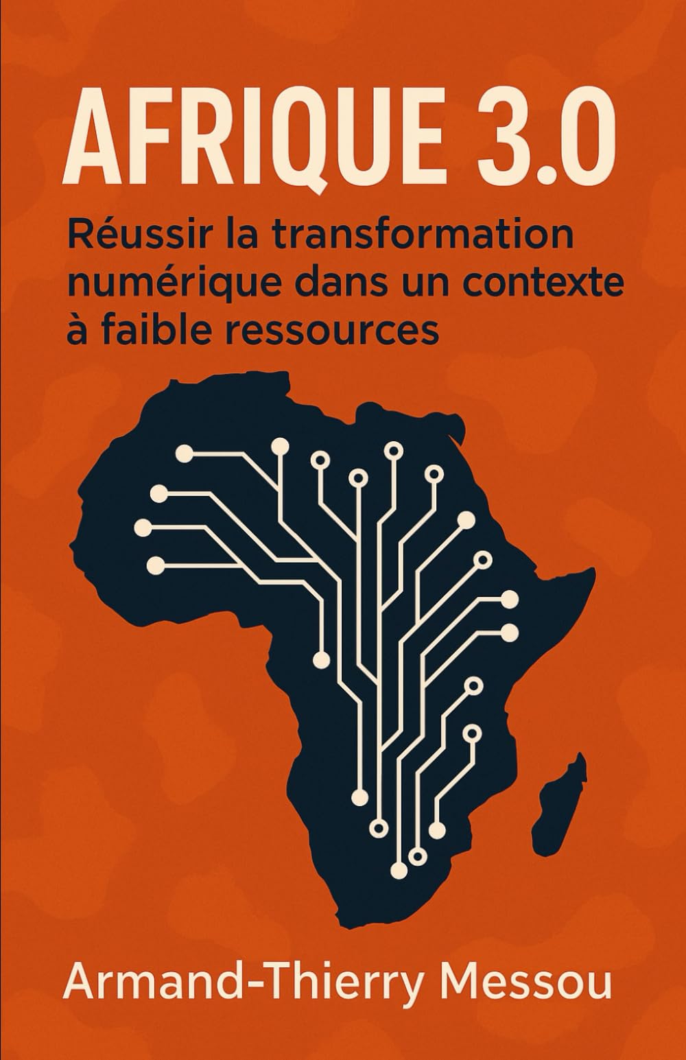 Afrique 3.0 : Réussir la transformation numérique dans un contexte à faibles ressources book
