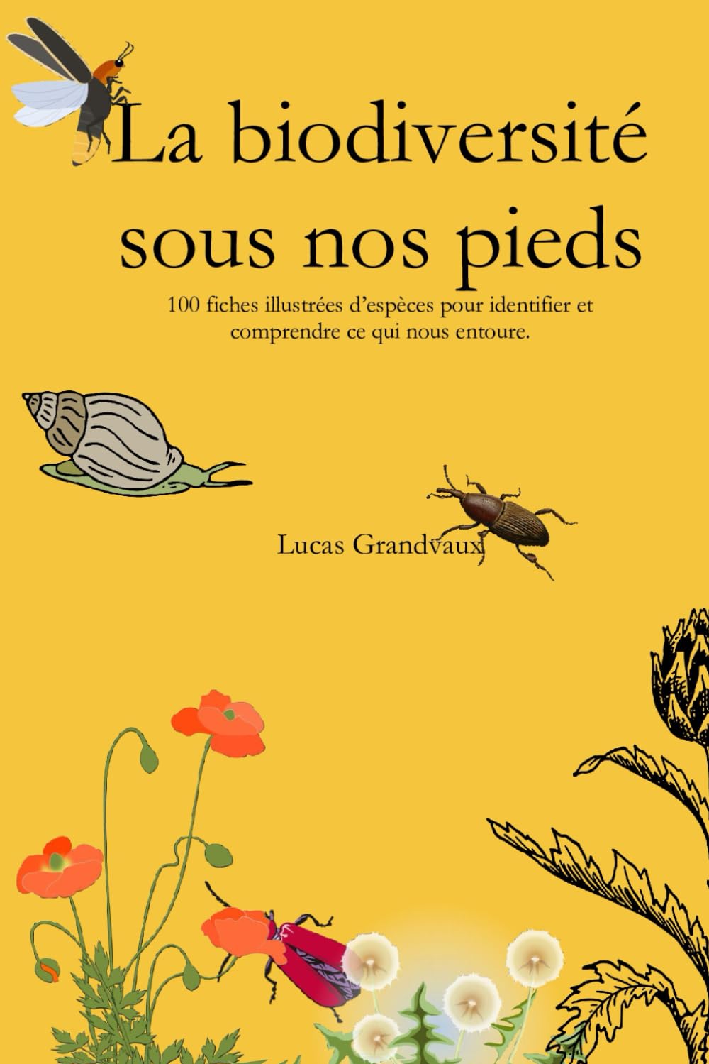 La biodiversité sous nos pieds: 100 fiches illustrées d’espèces pour identifier et comprendre ce qui nous entoure. book