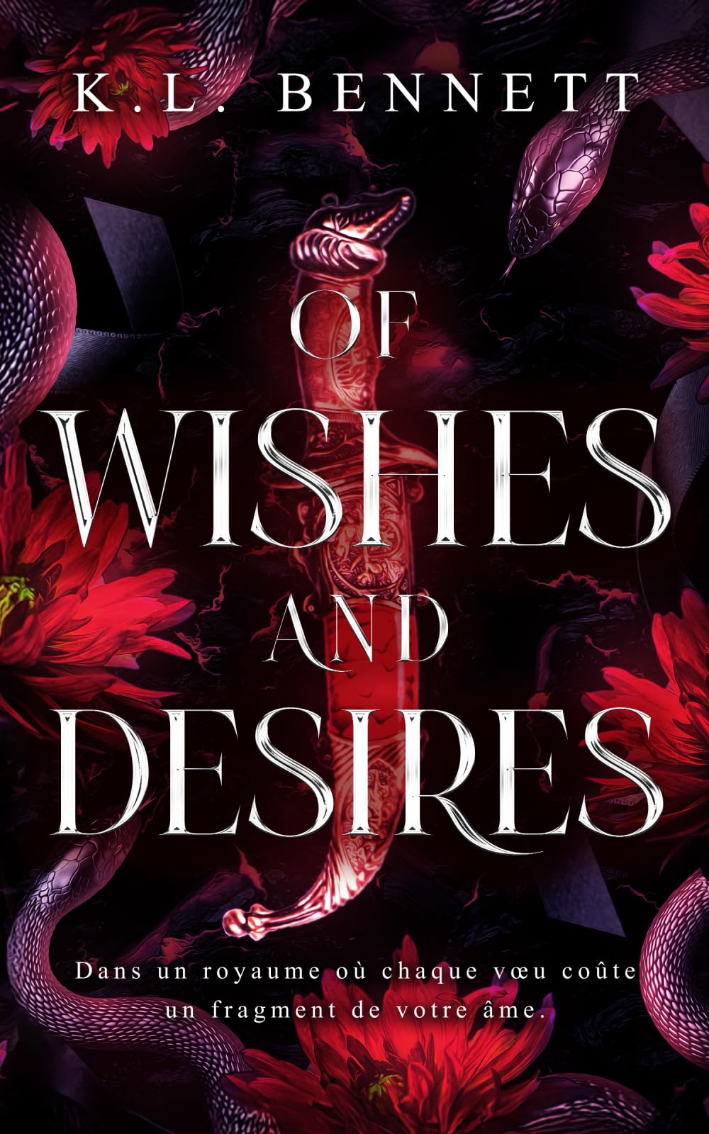 Of Wishes And Desires: Une romantasy slow-burn book