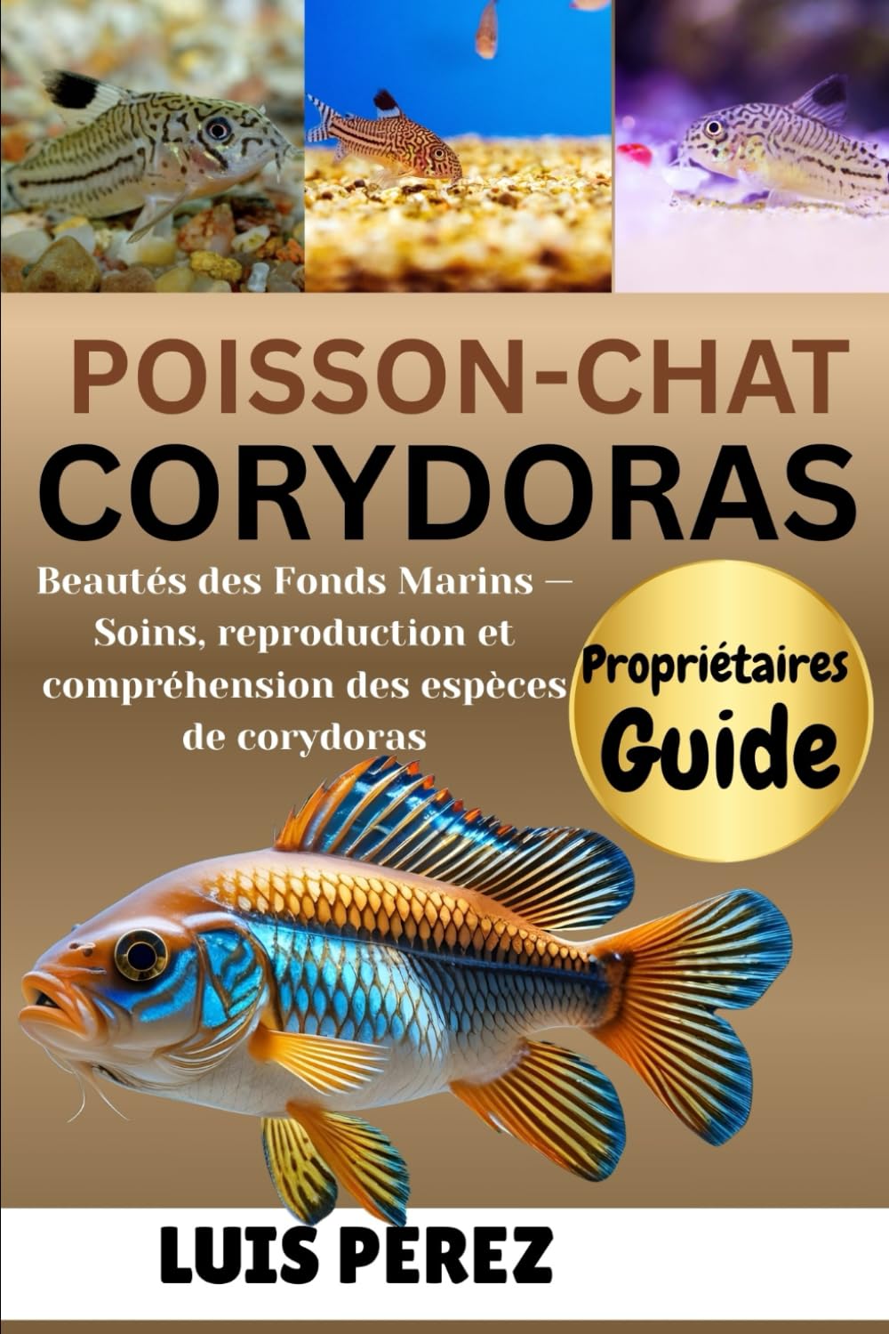 POISSON-CHAT CORYDORAS: Beautés des Fonds Marins — Soins, reproduction et compréhension des espèces de corydoras book