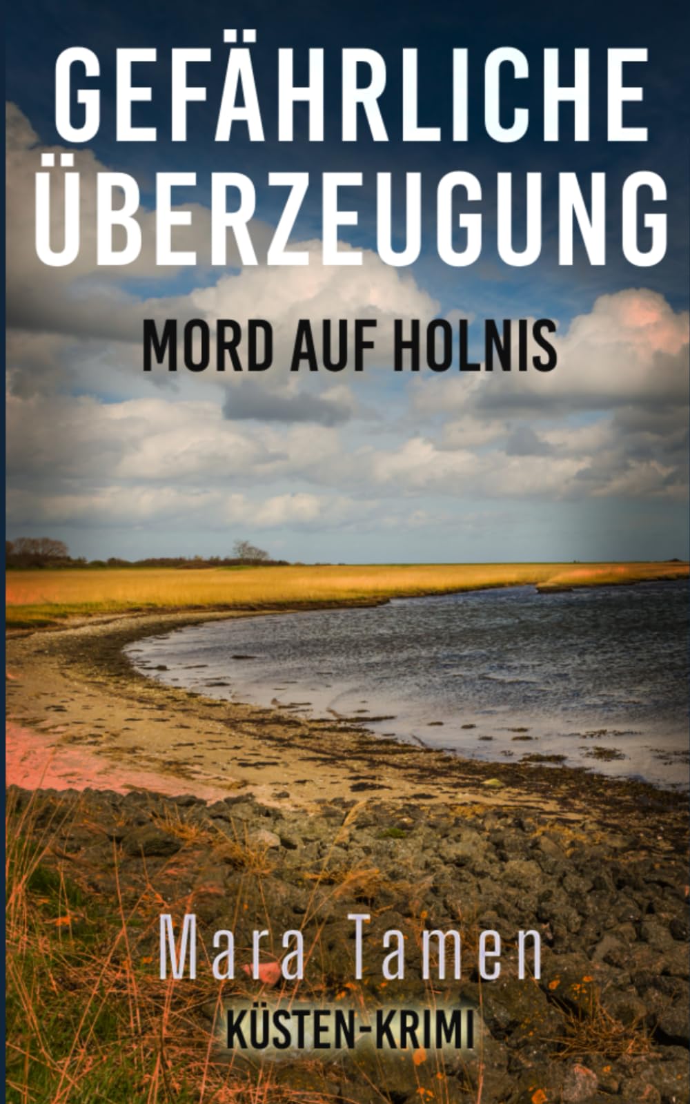 Gefährliche Überzeugung: Mord auf Holnis (Laura Jacobs ermittelt in Flensburg, Band 3) Action & Adventure