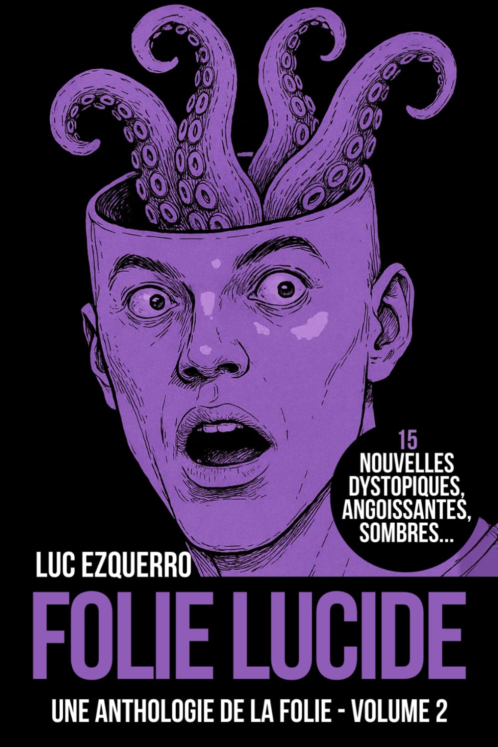 Folie Lucide: Une anthologie de la folie - Volume 2 book
