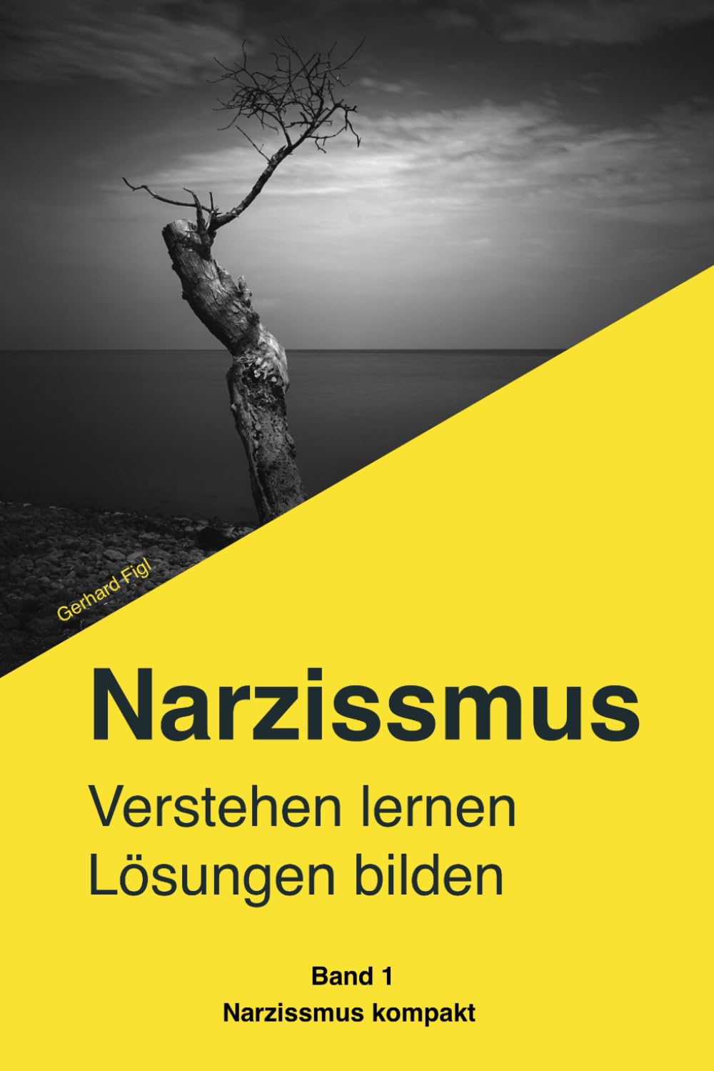 Narzissmus erkennen. Verstehen. Dich selbst wiederfinden.: Der verständliche Ratgeber für Betroffene: Narzisstische Persönlichkeitsstörung, toxische ... erkennen un (Narzissmus kompakt, Band 1) Partnership & Love