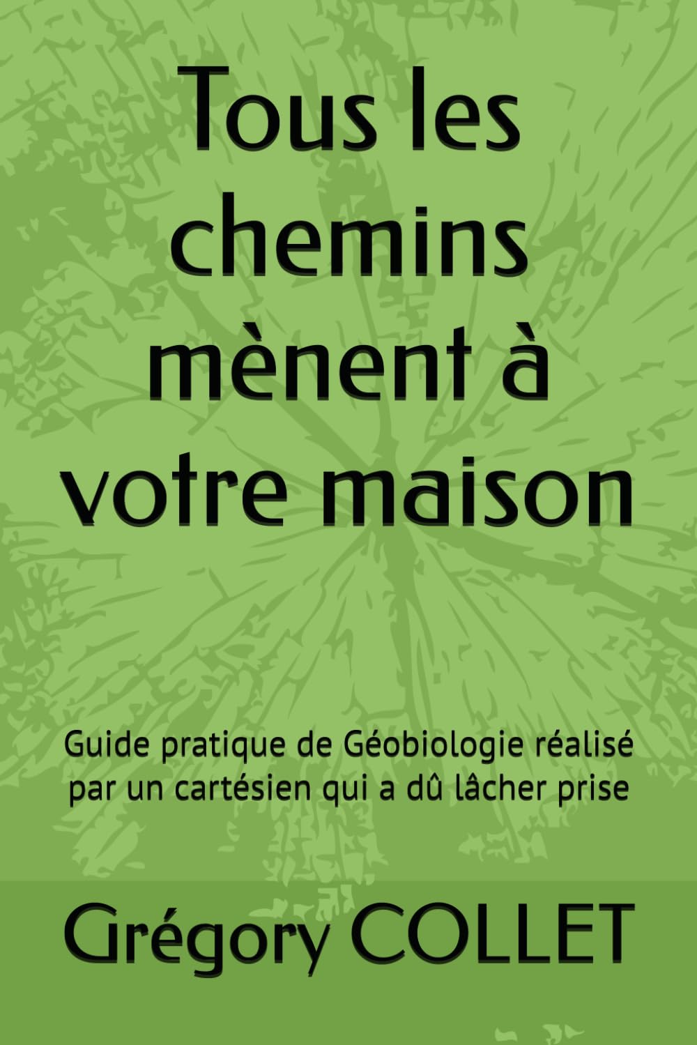 Tous les chemins mènent à votre maison: Guide pratique de Géobiologie réalisé par un cartésien qui a dû lâcher prise book