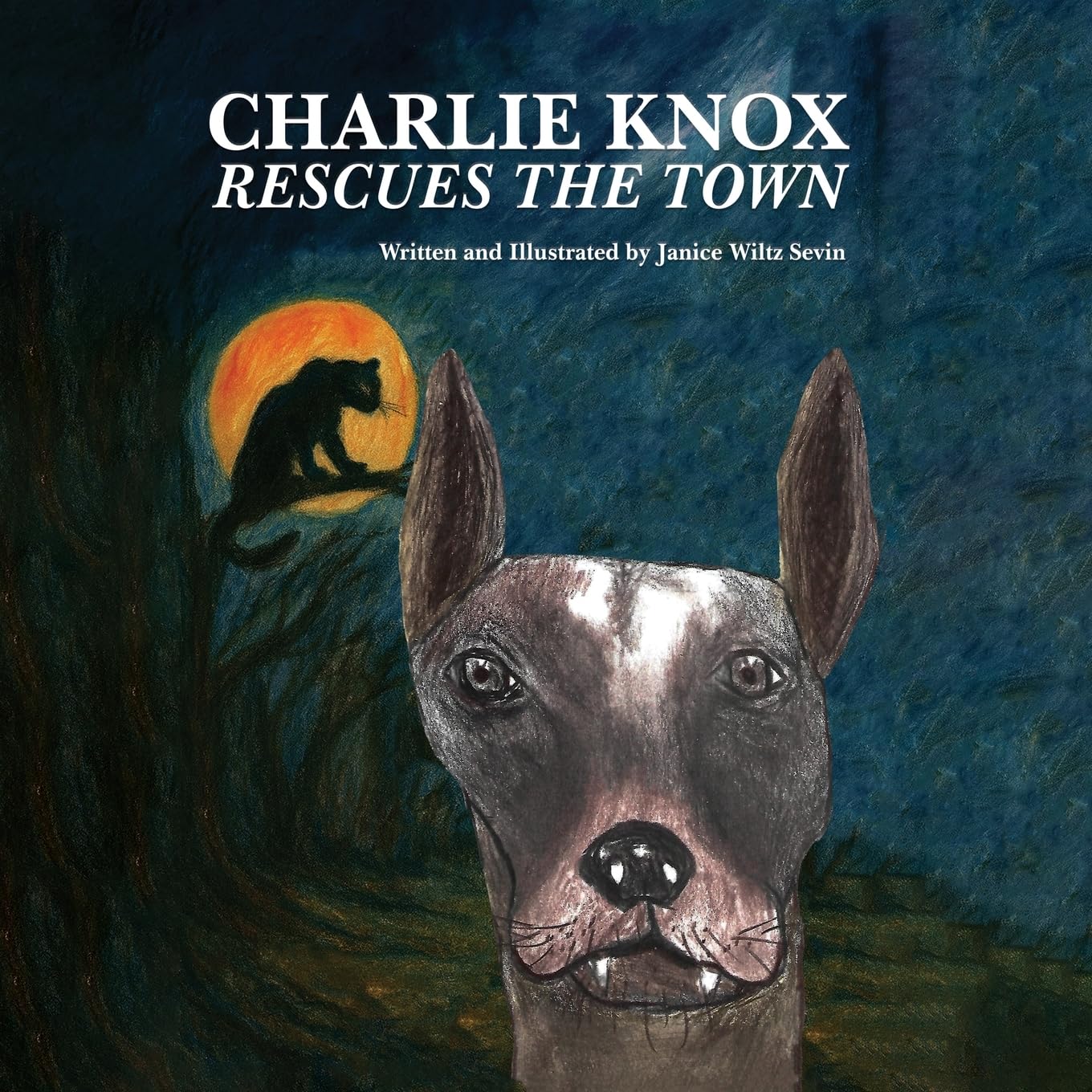 Charlie Knox Rescues the Town Novels & Short Stories