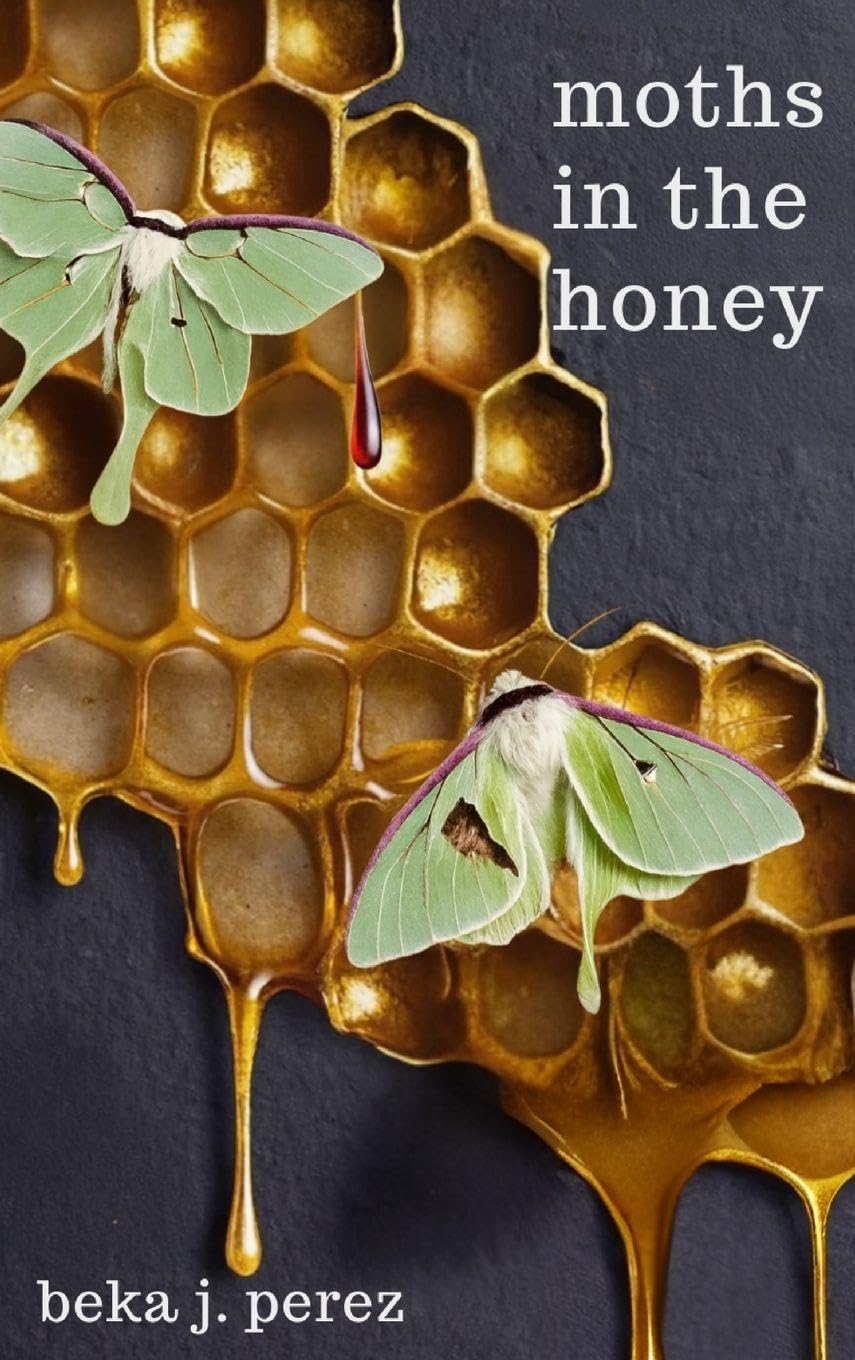 Moths In The Honey: A Novel Contemporary literature