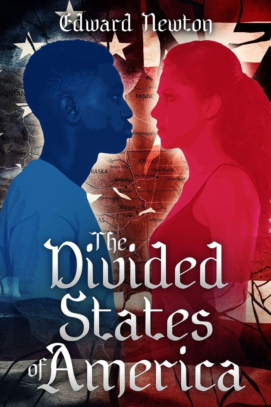 The Divided States of America Contemporary literature