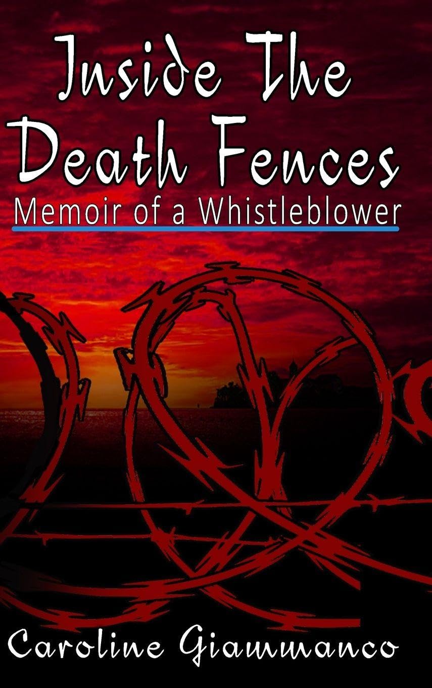 Inside The Death Fences Politics & Society
