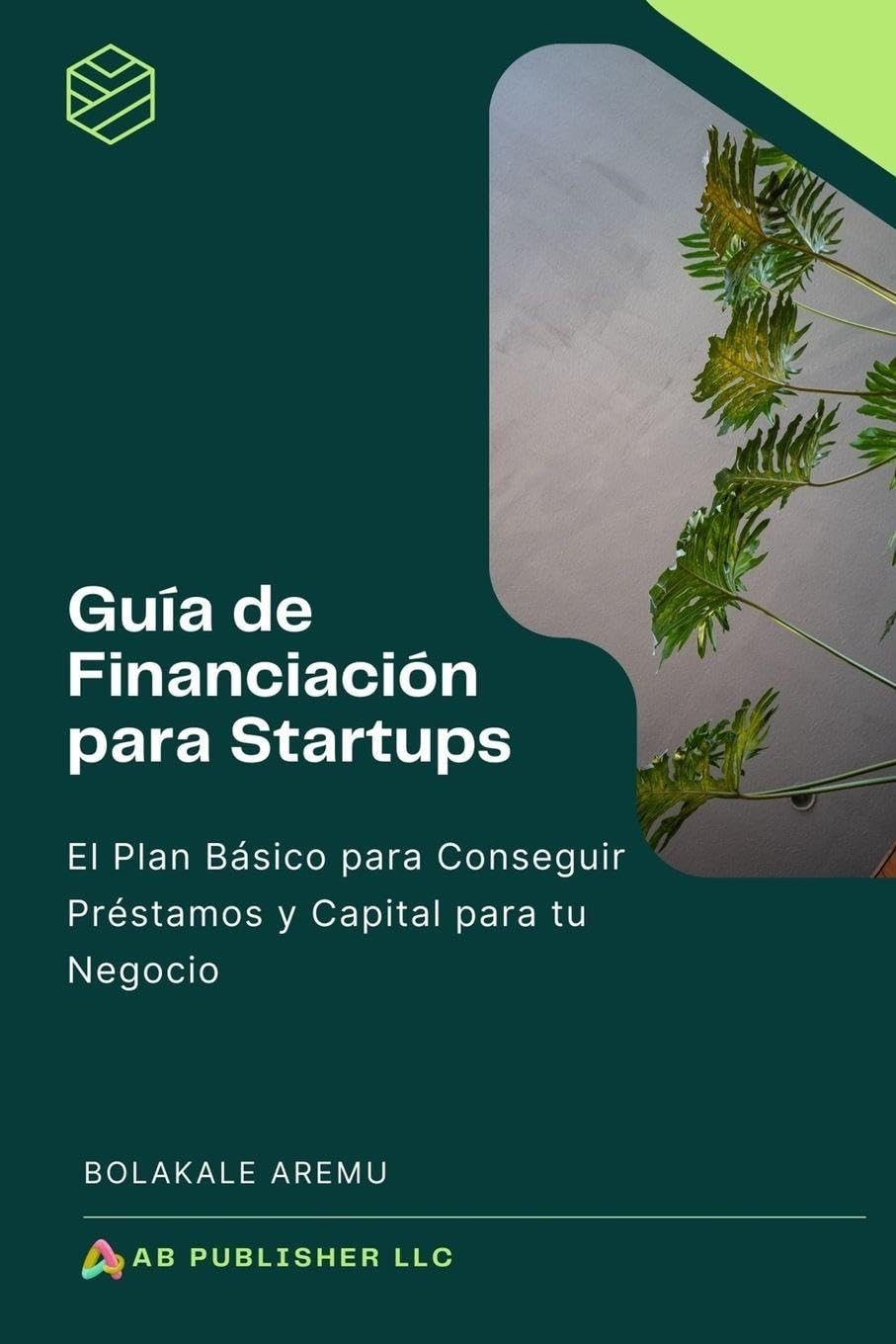 Guía de Financiación para Startups Business, Finance & Career