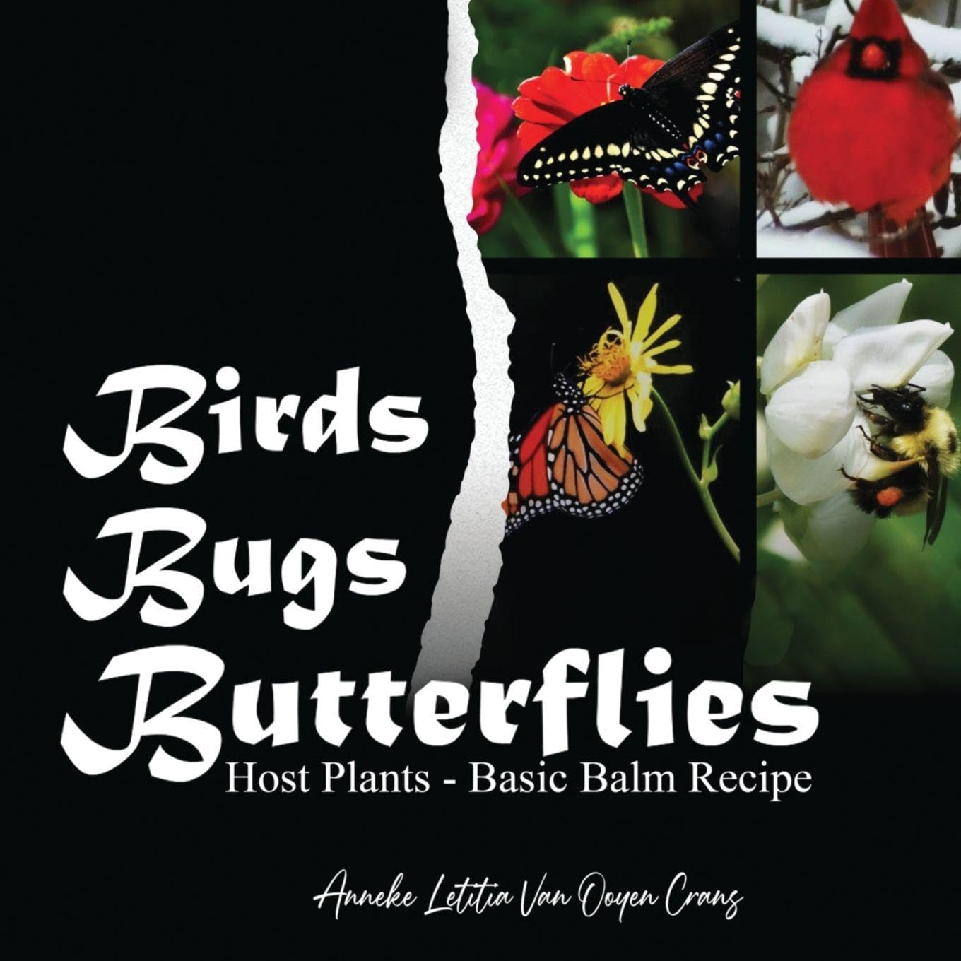 Birds Bugs Butterflies Hobbies & Crafts