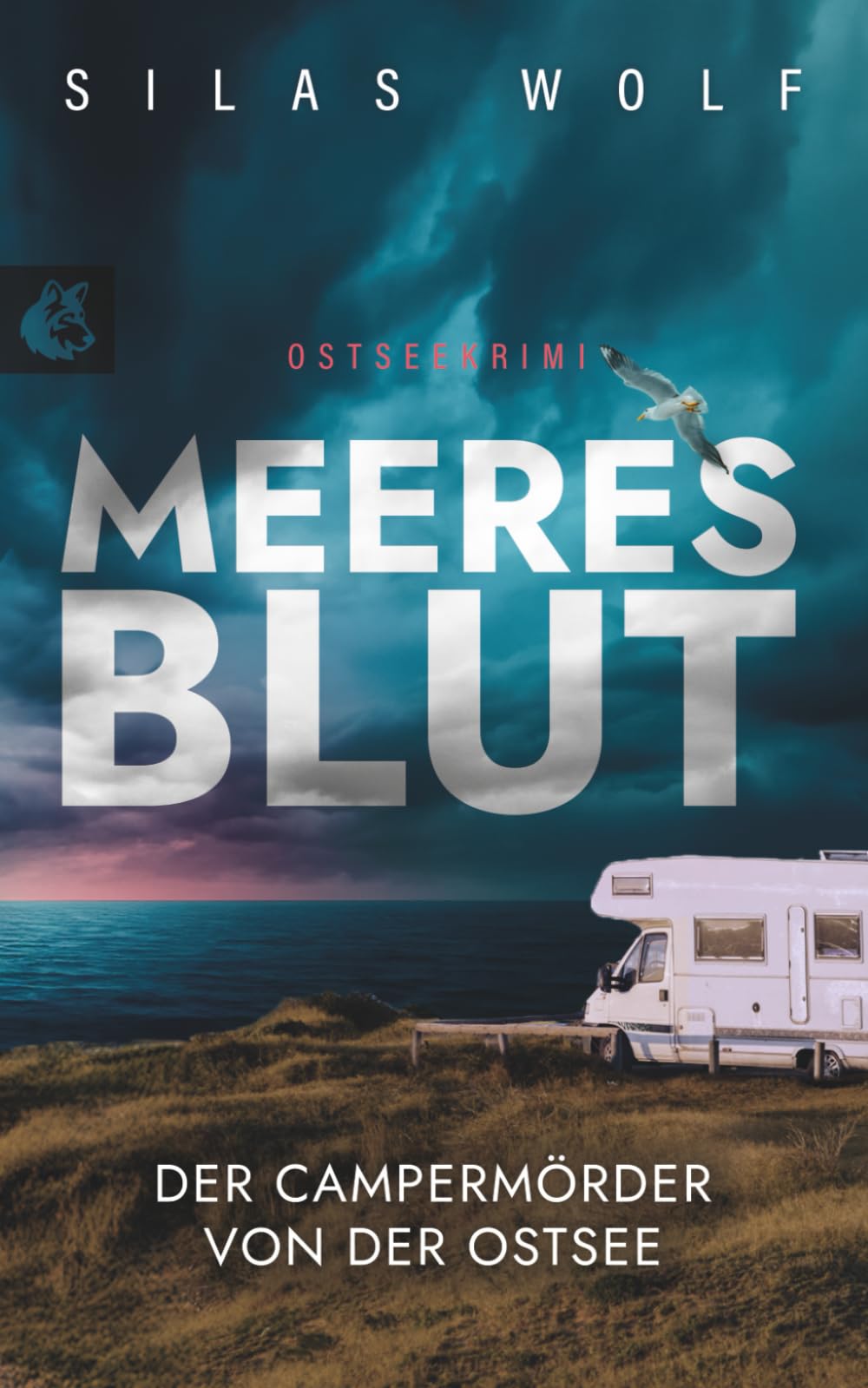 Meeresblut - Der Campermörder von der Ostsee: Küstenkrimi - Ostseekrimi (Sönke Petersen ermittelt, Band 4) Detective & CSI