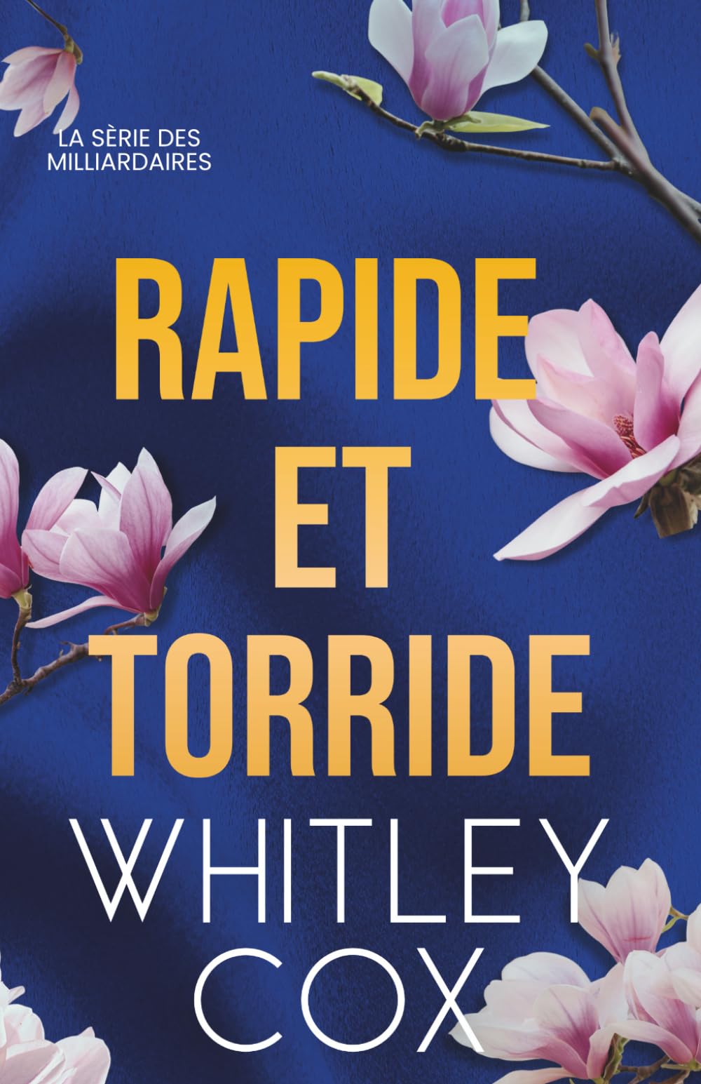 Rapide et Torride: La série des milliardaires book