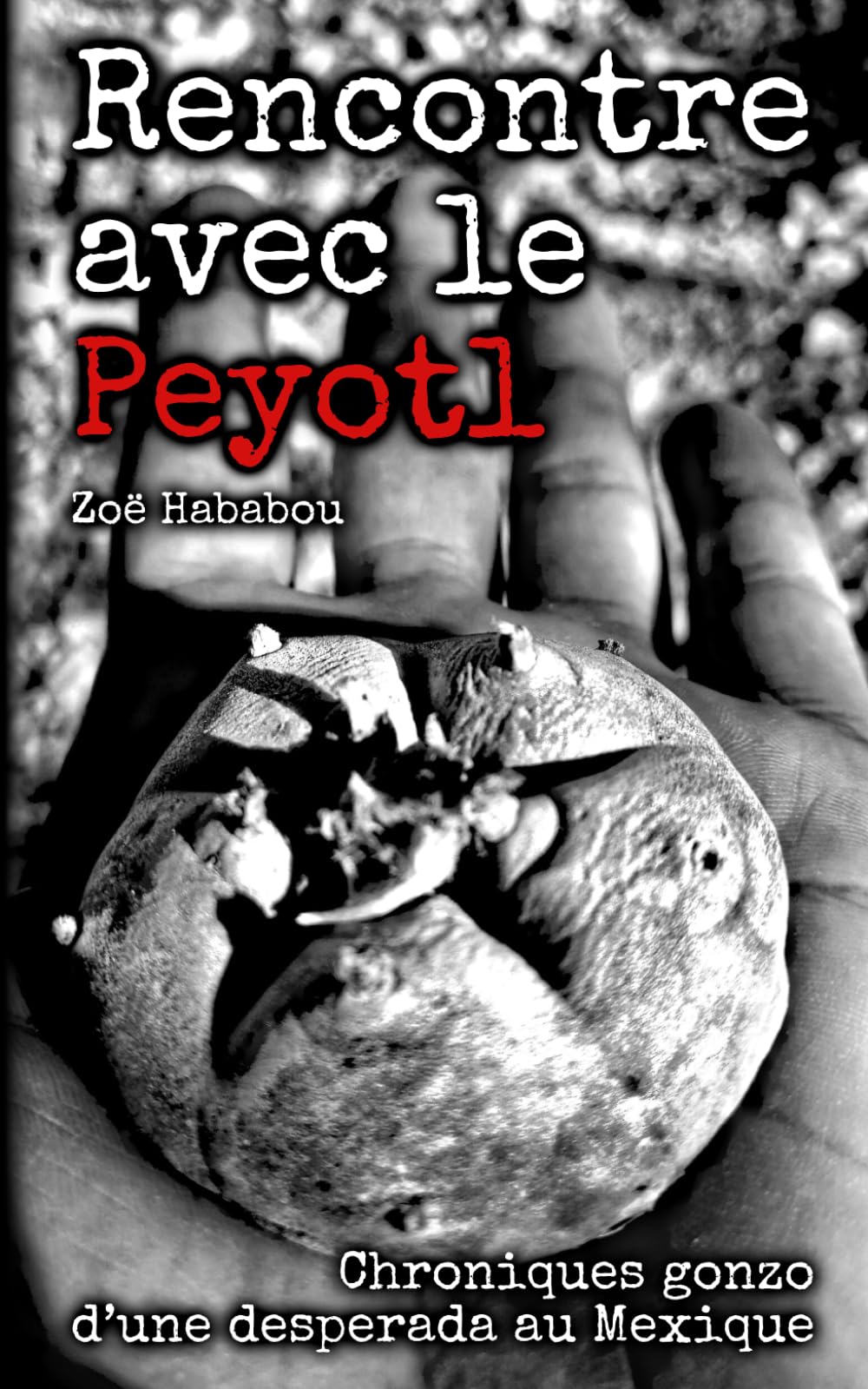 Rencontre avec le Peyotl: Chroniques gonzo d'une desperada au Mexique Religion & Esotericism