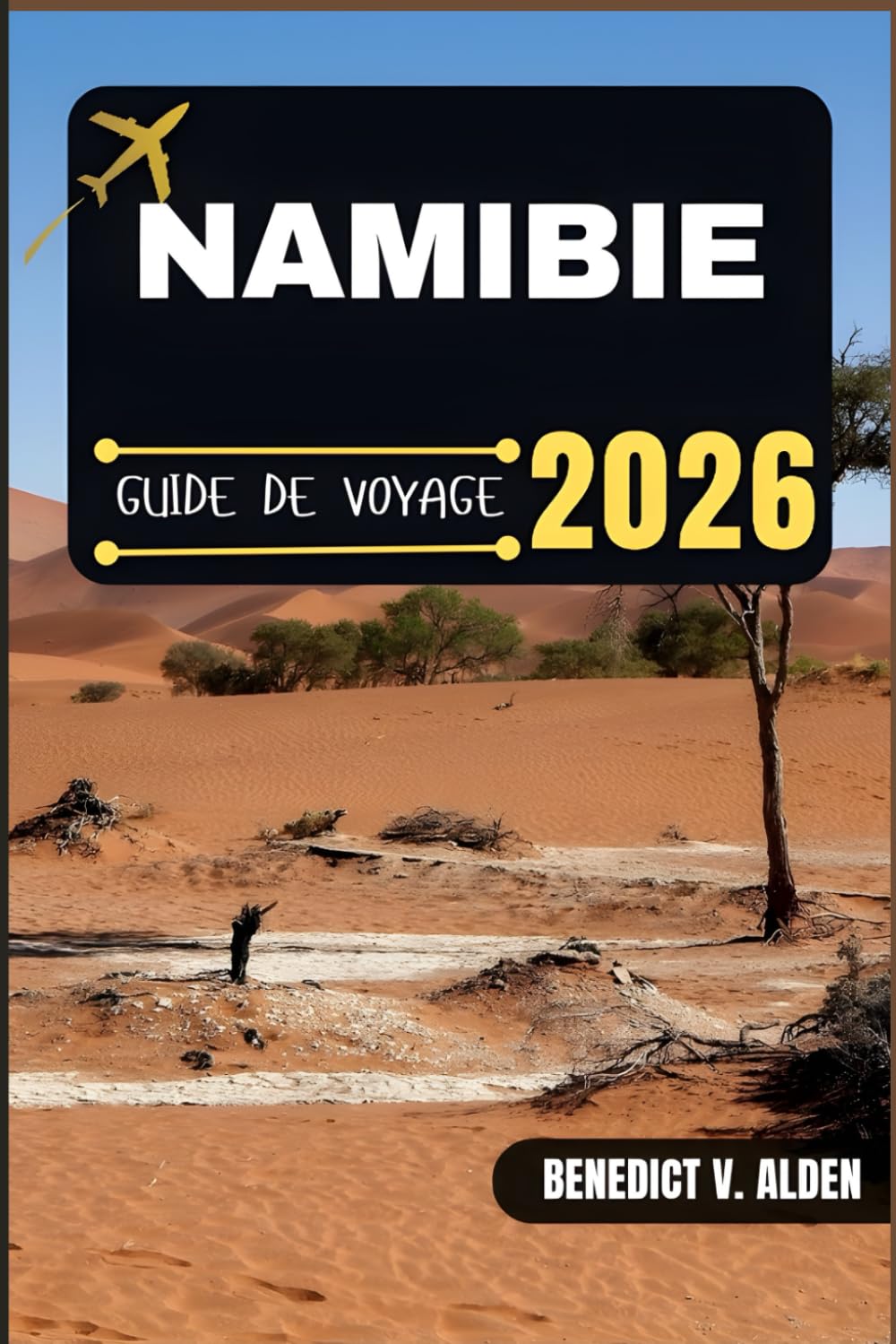 NAMIBIE GUIDE DE VOYAGE: Découvrez des trésors cachés, des conseils pratiques et des expériences mémorables à chaque étape de votre aventure de voyage. book