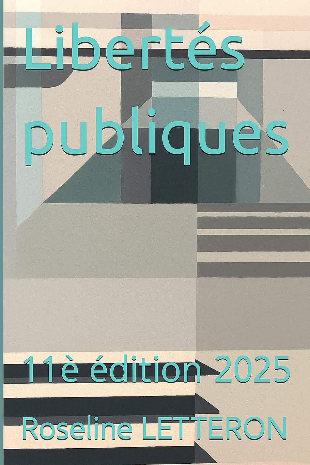 Libertés publiques: 11è édition 2025 book