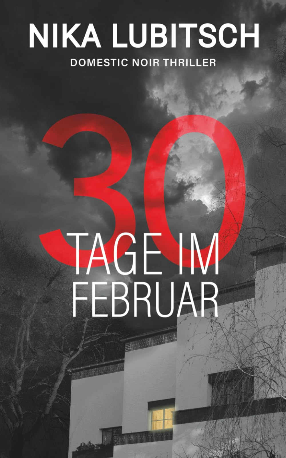 30 Tage im Februar: Domestic Noir Thriller book