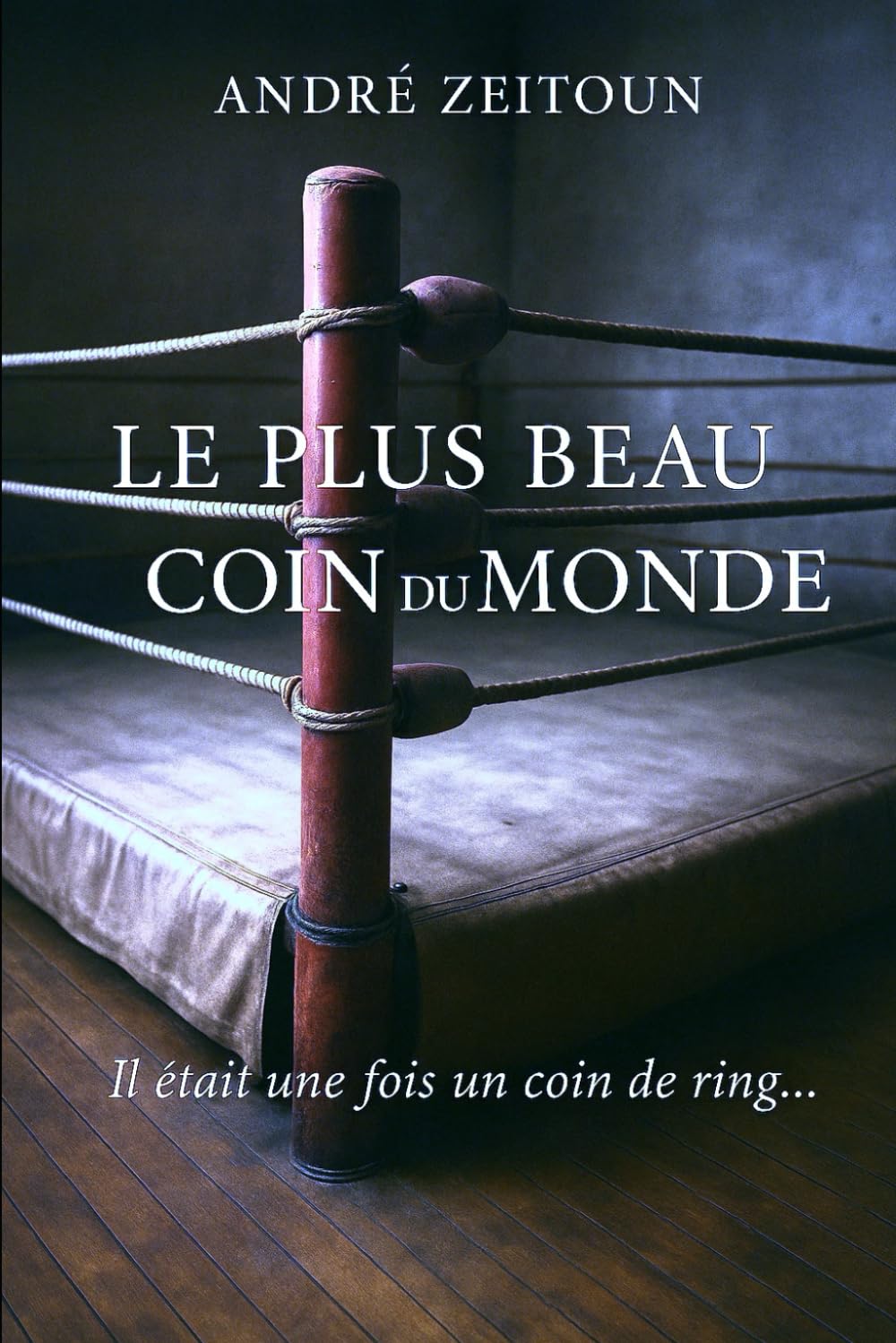 Le plus beau coin du monde: L'homme de coin book