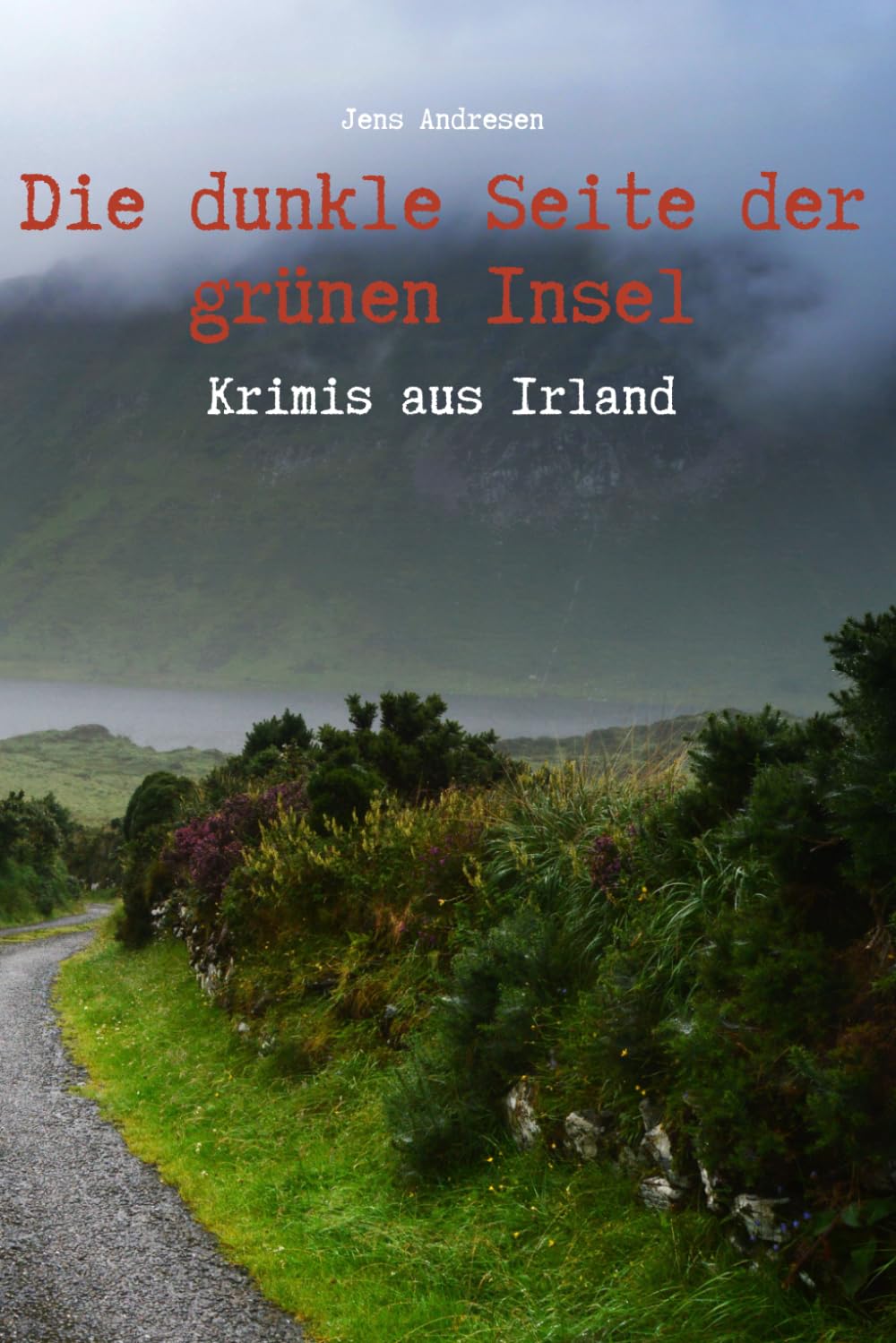 Die dunkle Seite der grünen Insel - Krimis aus Irland Suspense & Thrillers
