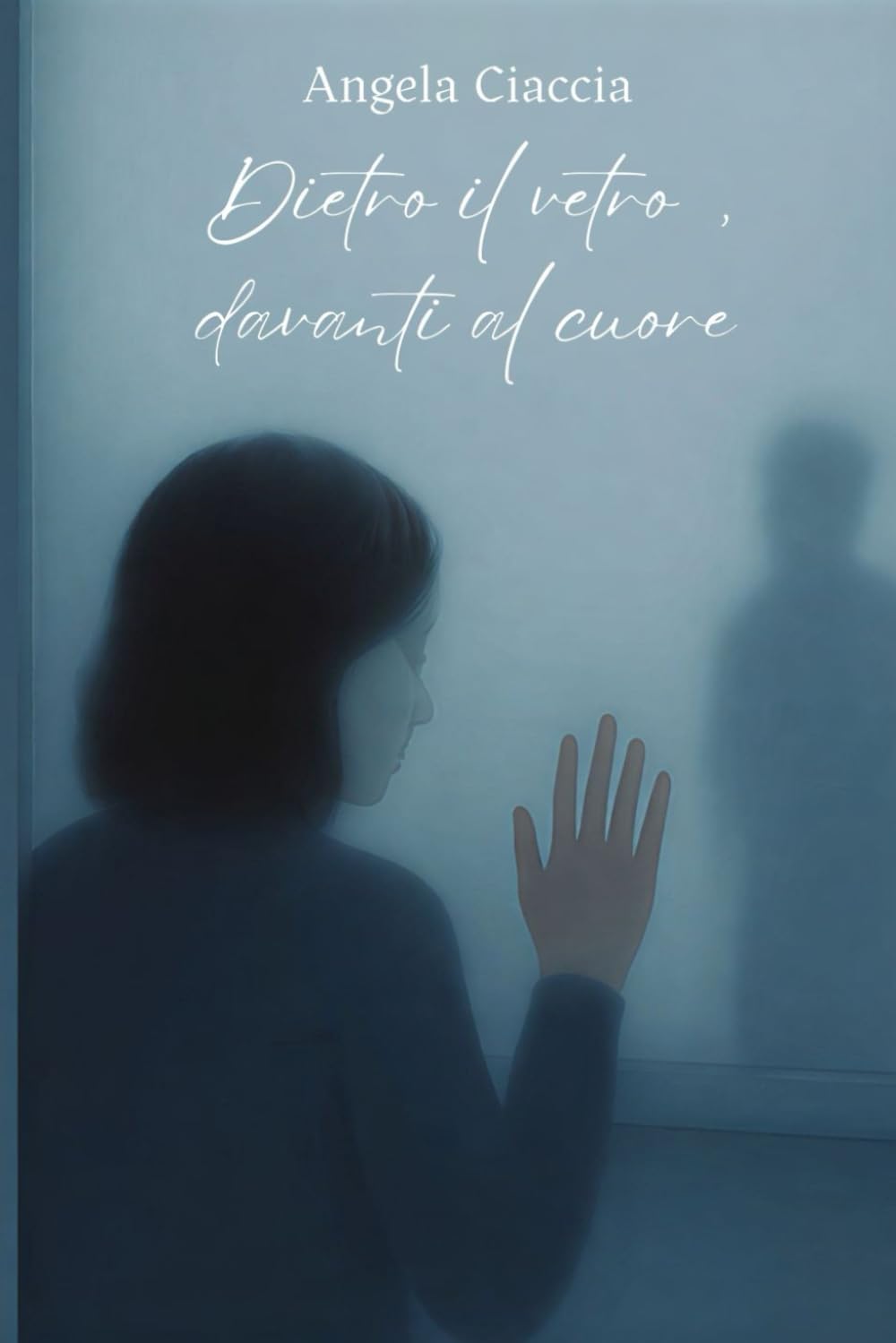 Dietro il vetro, davanti al cuore book