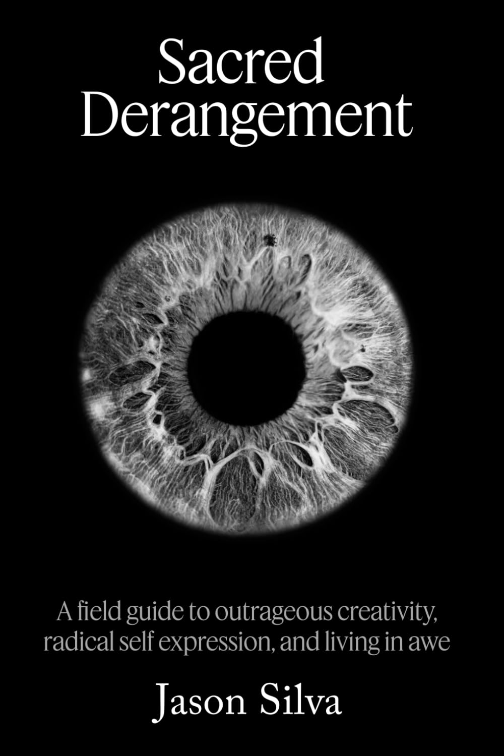 Sacred Derangement: A field guide to outrageous creativity, radical self-expression and living in awe book