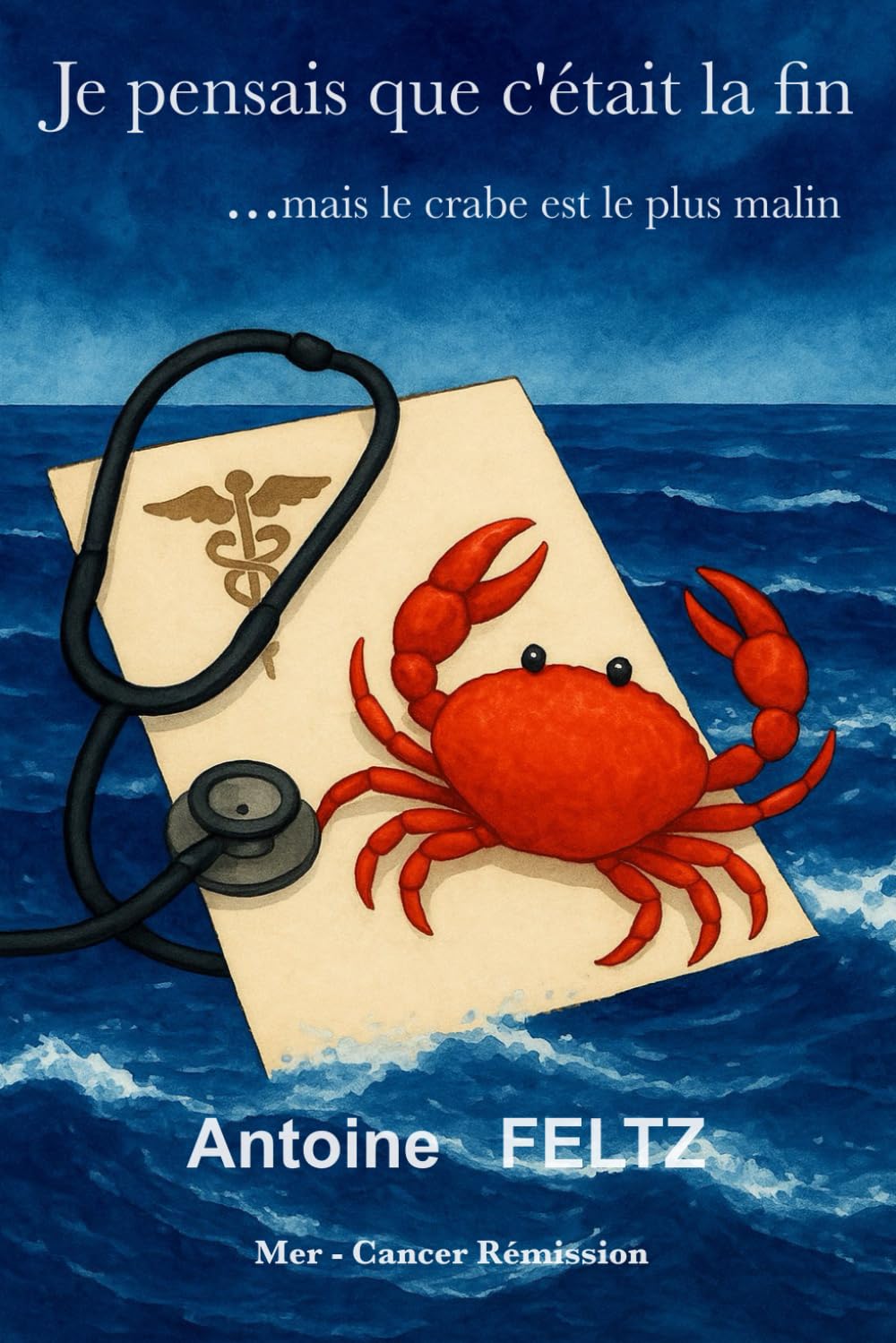 Je pensais que c'était la fin ... mais le crabe est le plus malin.: Mer - Cancer - Rémission book