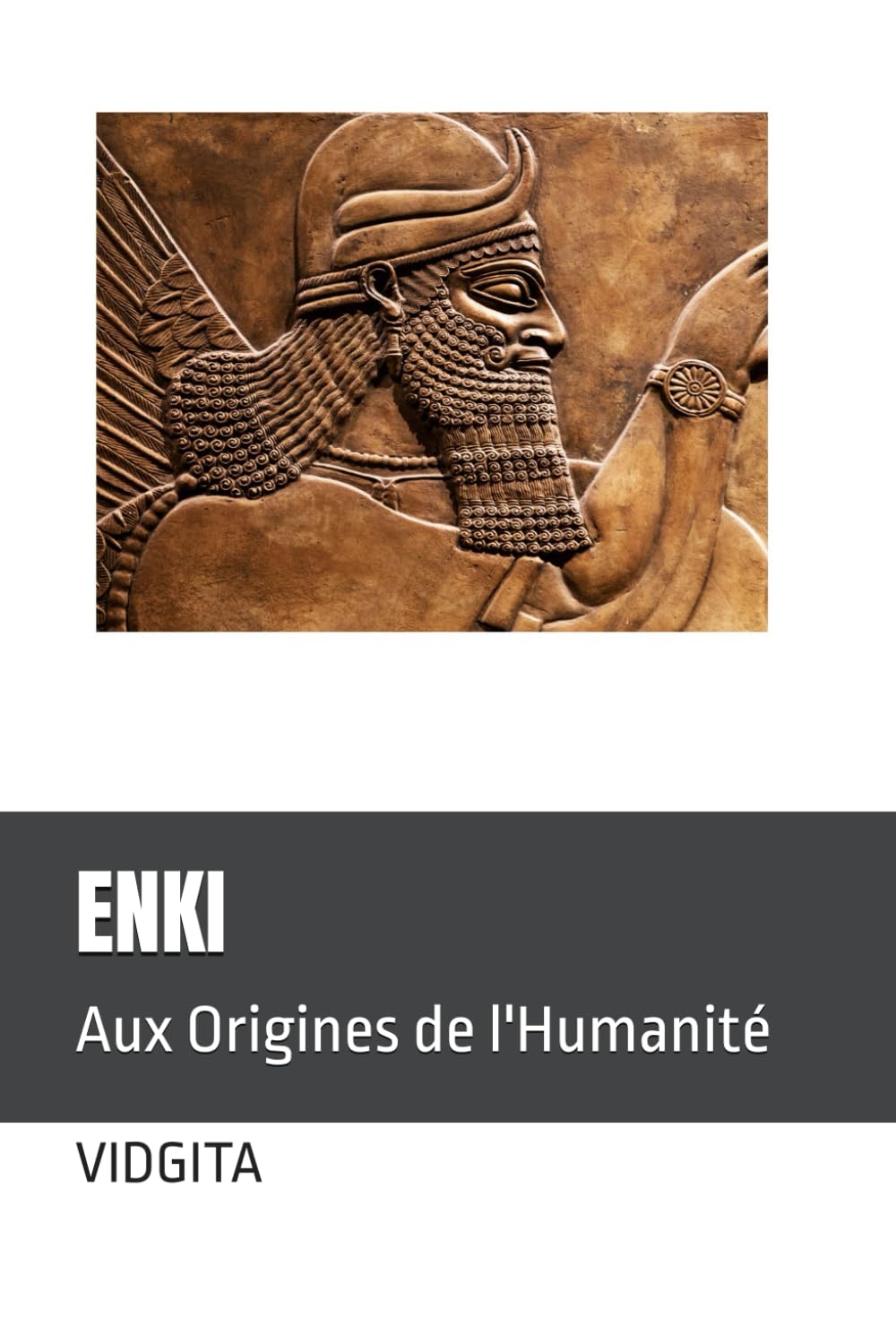 ENKI: Aux Origines de l'Humanité book