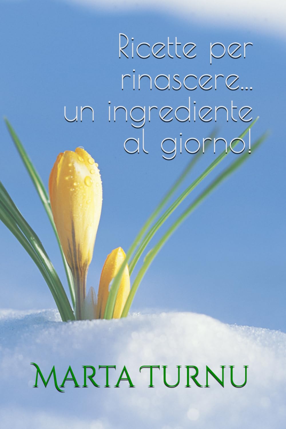 Ricette per rinascere...un ingrediente al giorno! book
