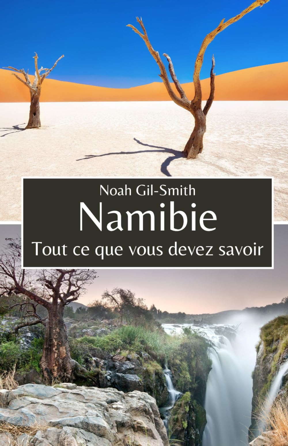 Namibie: Tout ce que vous devez savoir book