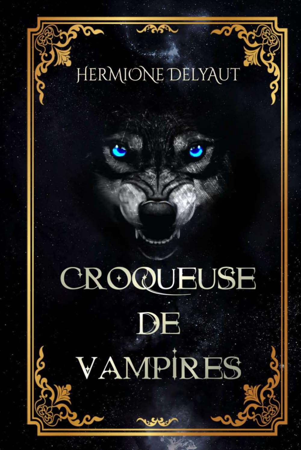Croqueuse de Vampires: L'Académie des Crocs-Nocturnes book