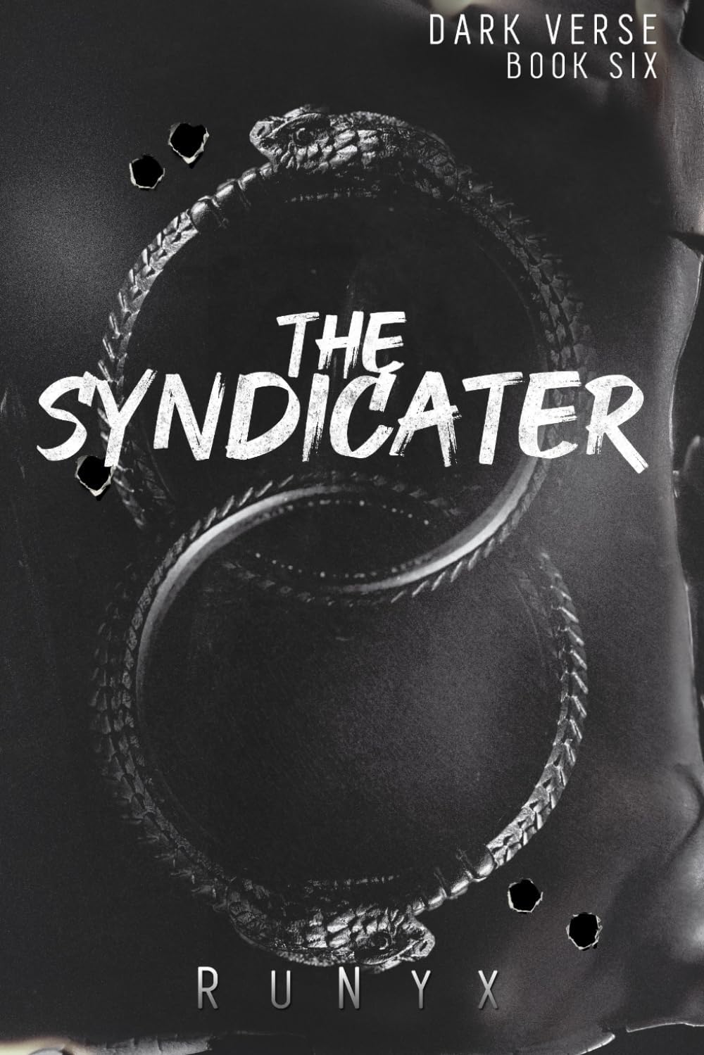The Syndicater: A Dangerous Dark Romance (Dark Verse, Band 6) Politics & History