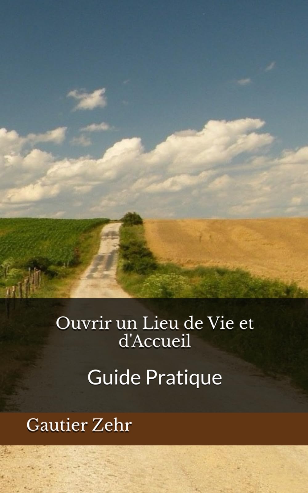 Ouvrir un Lieu de Vie et d'Accueil: Guide Pratique book