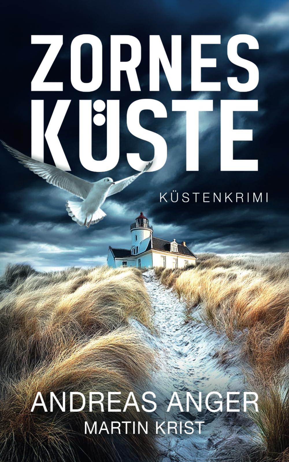 Zornesküste: Küstenkrimi (Arne Creutz ermittelt, Ostseekrimi, Band 1) Detective & CSI