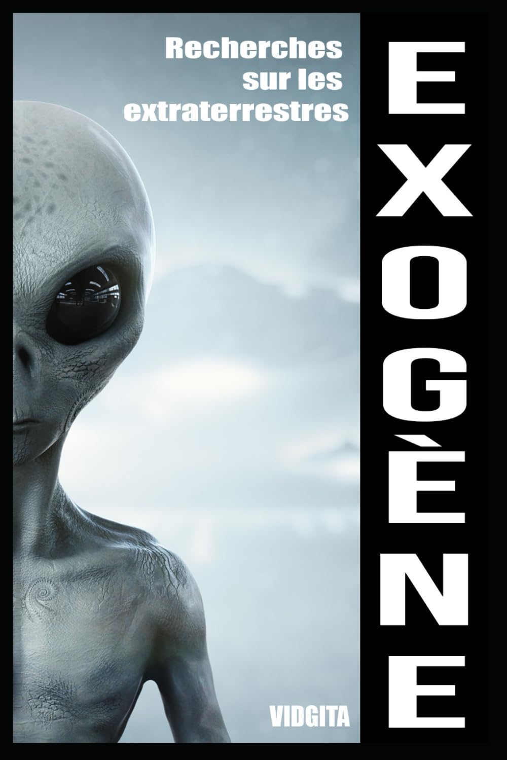 EXOGÈNE: Recherches sur les extraterrestres book