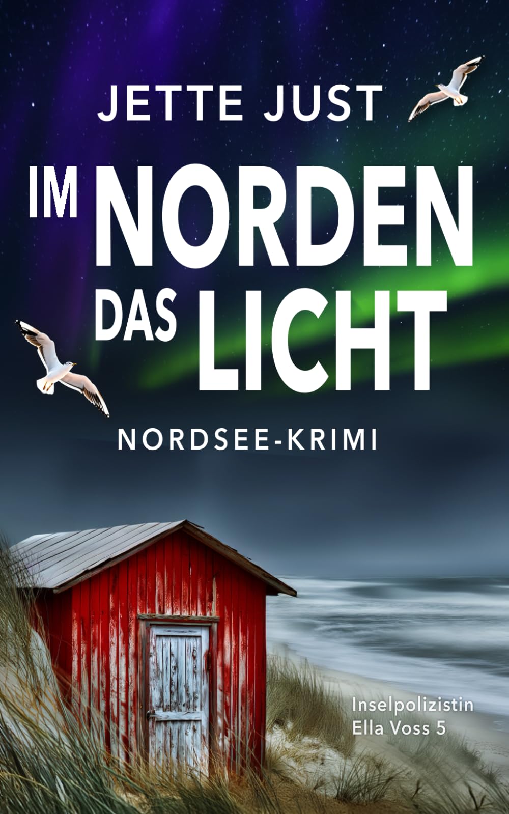 Im Norden das Licht: Nordsee-Krimi: Inselpolizistin Ella Voss ermittelt, Band 5 Action & Adventure
