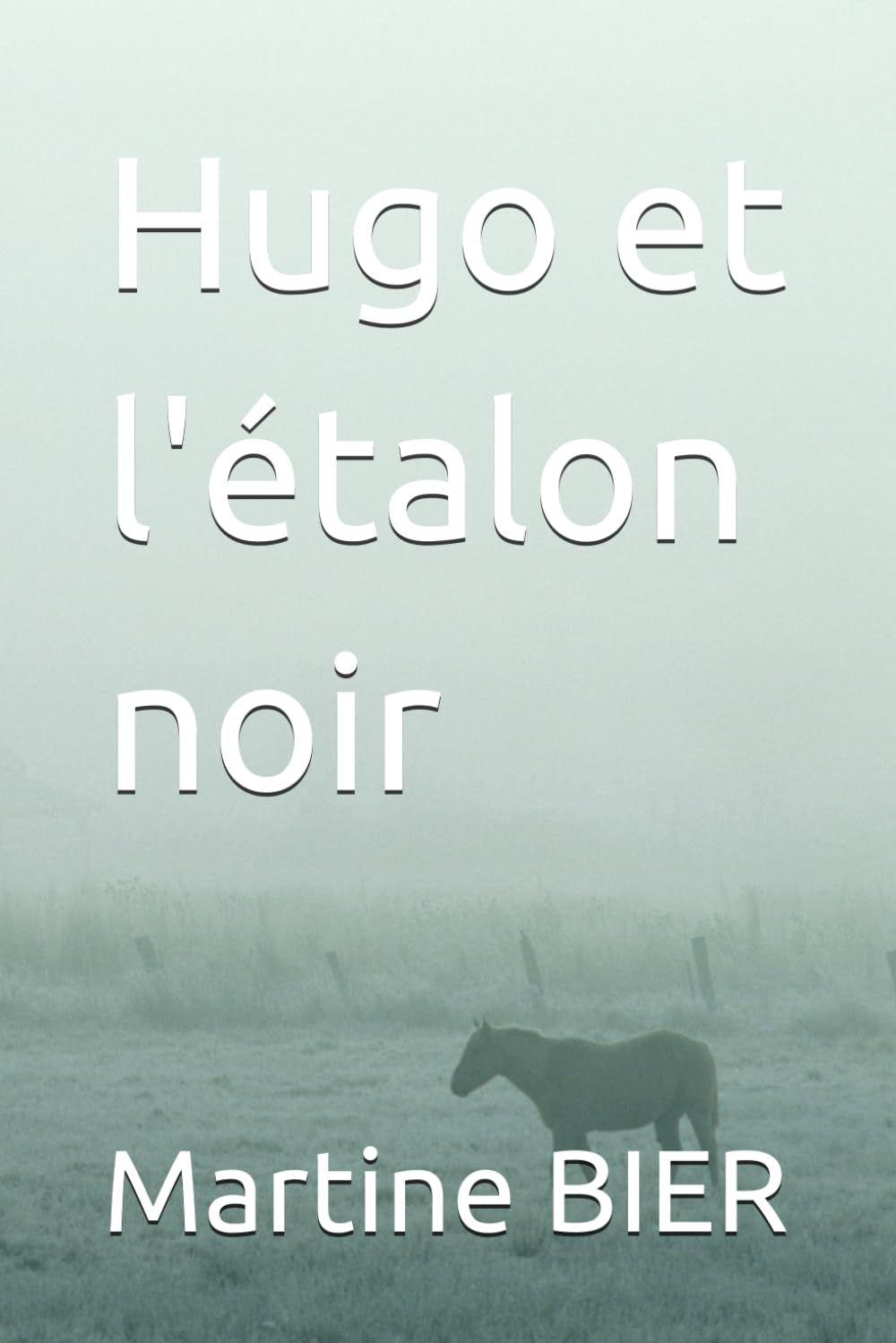 Hugo et l'étalon noir book