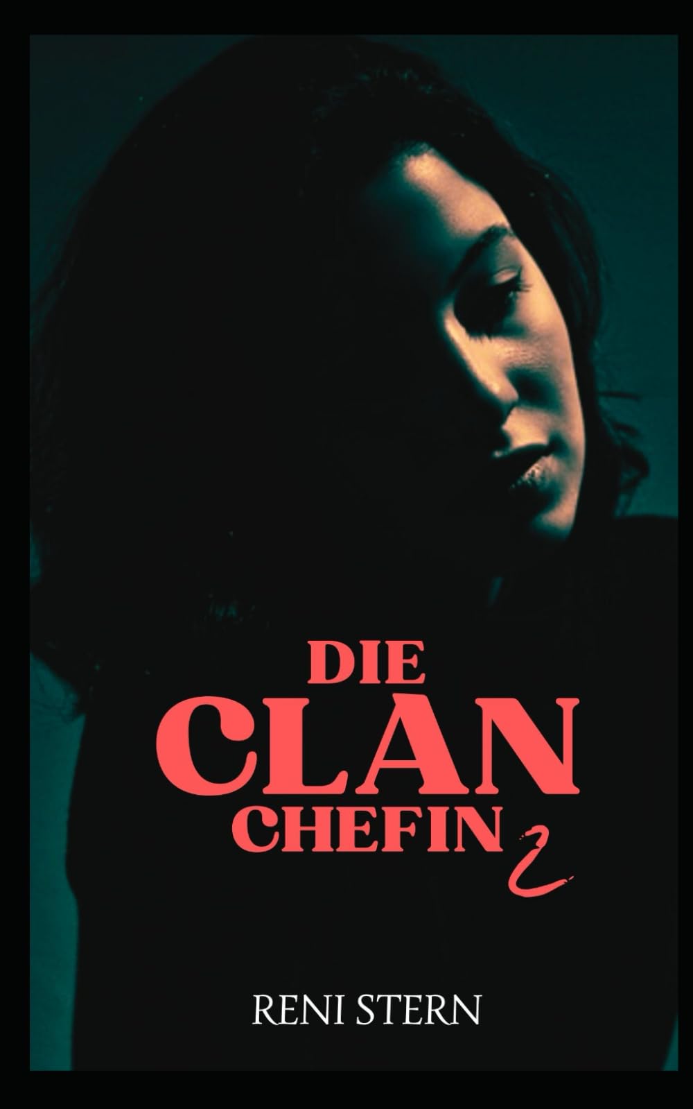 Die Clanchefin: Gefährliche Begegnungen (2) book