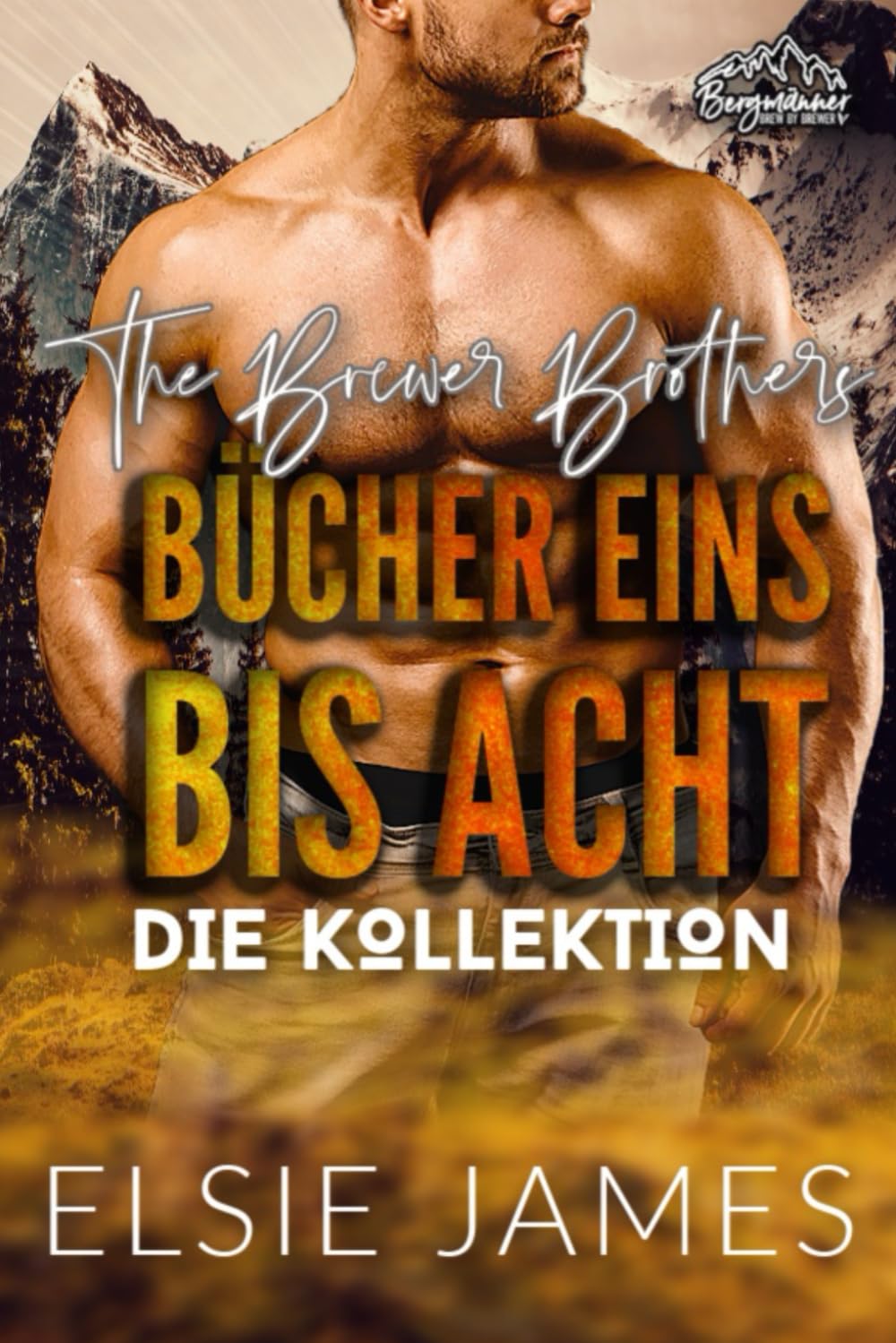 The Brewer Brothers DIE KOLLEKTION: BÜCHER EINS BIS ACHT (Elsie James Deutsche Sammlungen, Band 2) Contemporary literature