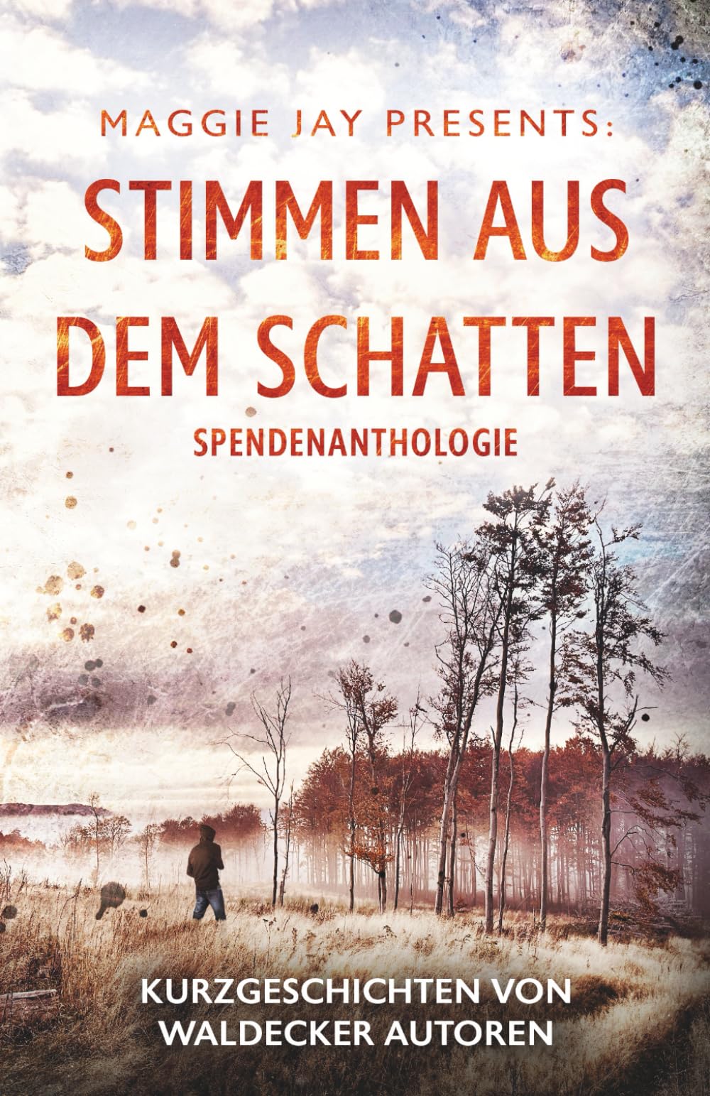 Stimmen aus dem Schatten: Kurzgeschichten von Waldecker Autoren Contemporary literature