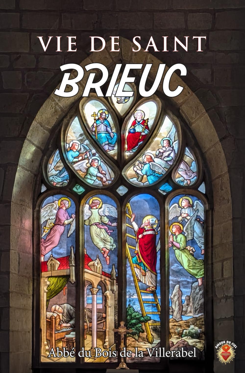 Vie de Saint Brieuc - Premier évêque et fondateur de la ville et du diocèse de Saint-Brieuc: Un des 7 saints bretons du Tro Breizh - Histoire et culture de la Bretagne book