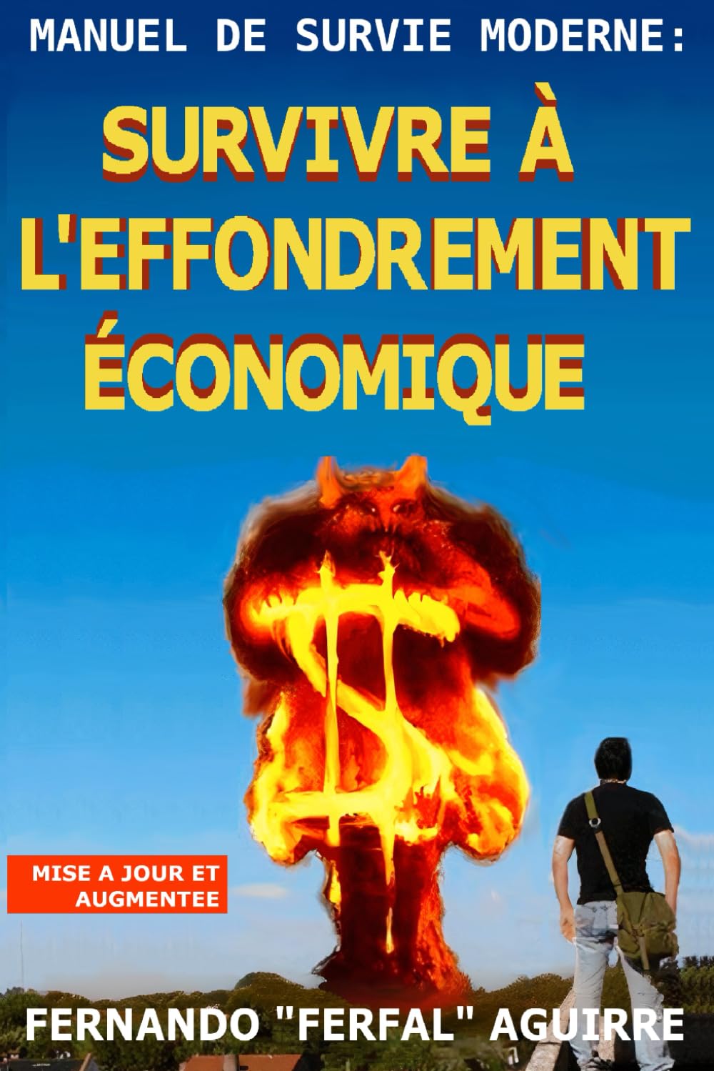 Manuel de survie moderne : Survivre à l’effondrement économique book