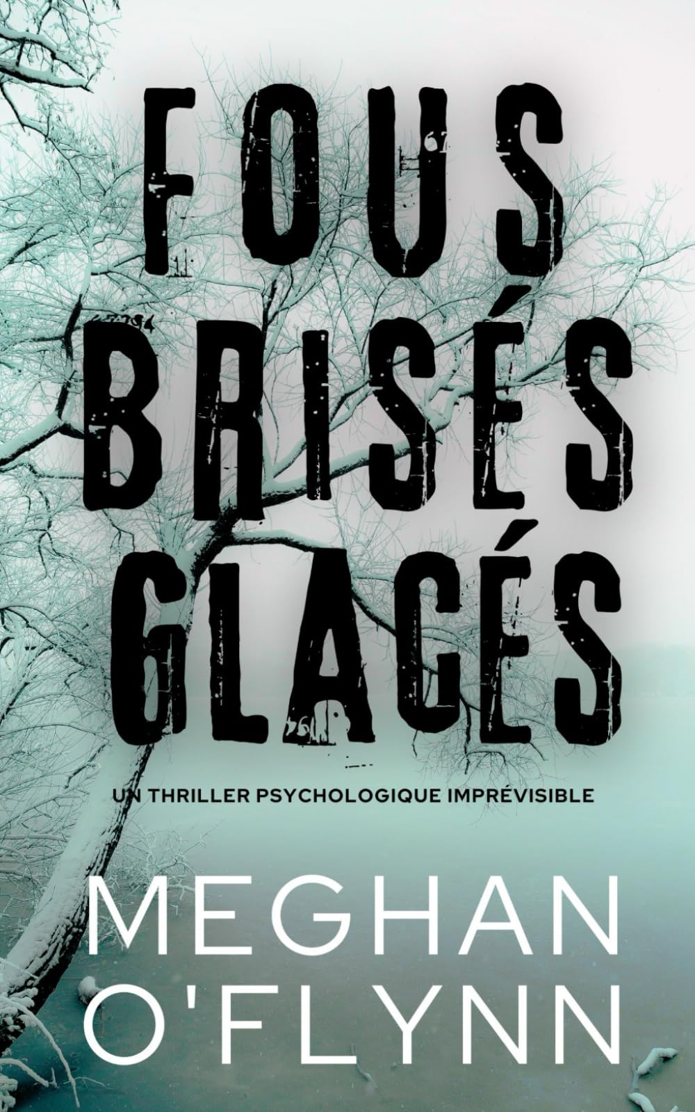 Fous Brisés Glacés: Un Thriller Psychologique Imprévisible book