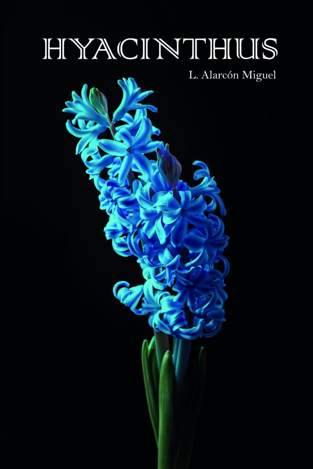 Product Image: Hyacinthus