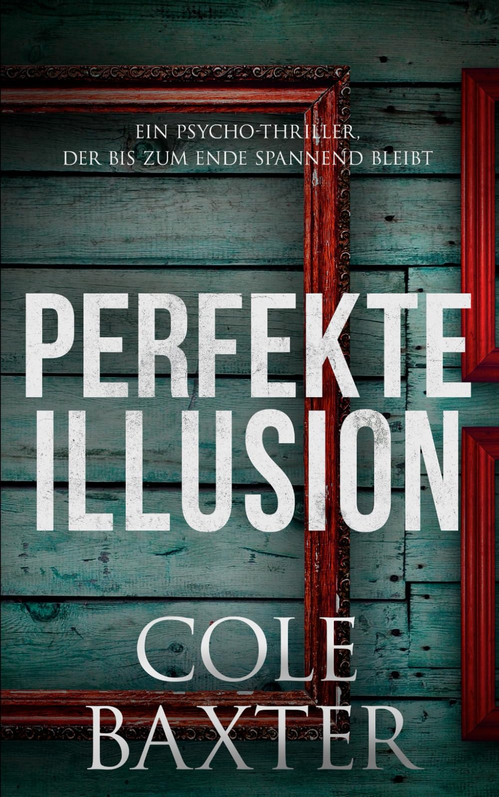 Perfekte Illusion: Ein Psycho-Thriller, der bis zum Ende spannend bleibt Suspense & Thrillers