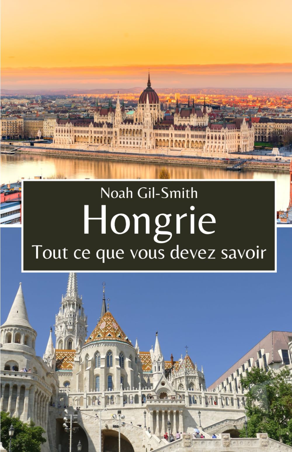 Hongrie: Tout ce que vous devez savoir book