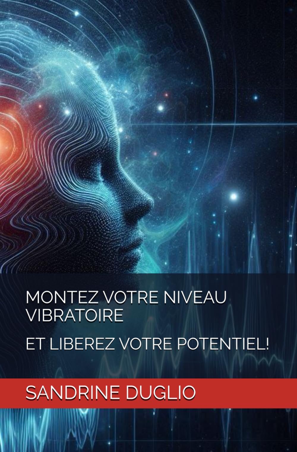 MONTEZ VOTRE NIVEAU VIBRATOIRE: ET LIBEREZ VOTRE POTENTIEL! book