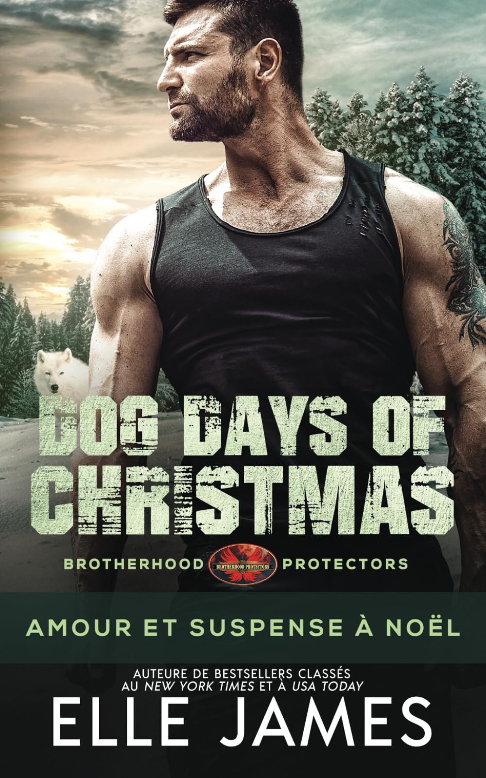 Dog Days of Christmas: Amour et Suspense à Noël book