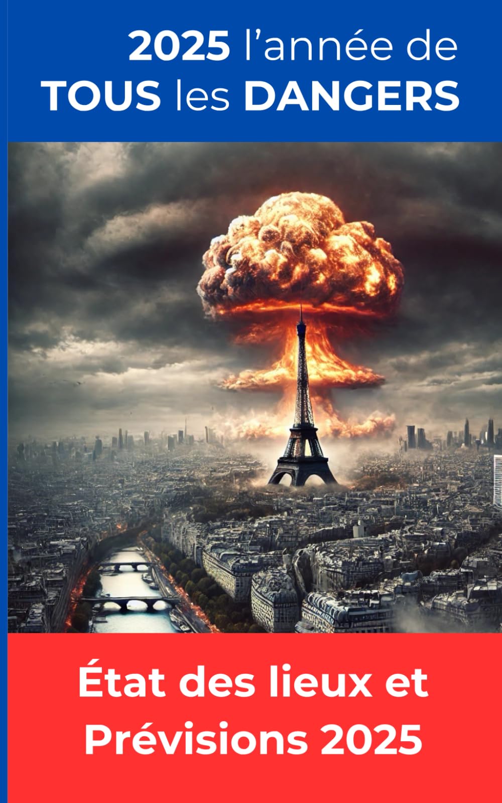 2025 l'année de TOUS les DANGERS: État des lieux et Prévisions 2025 book