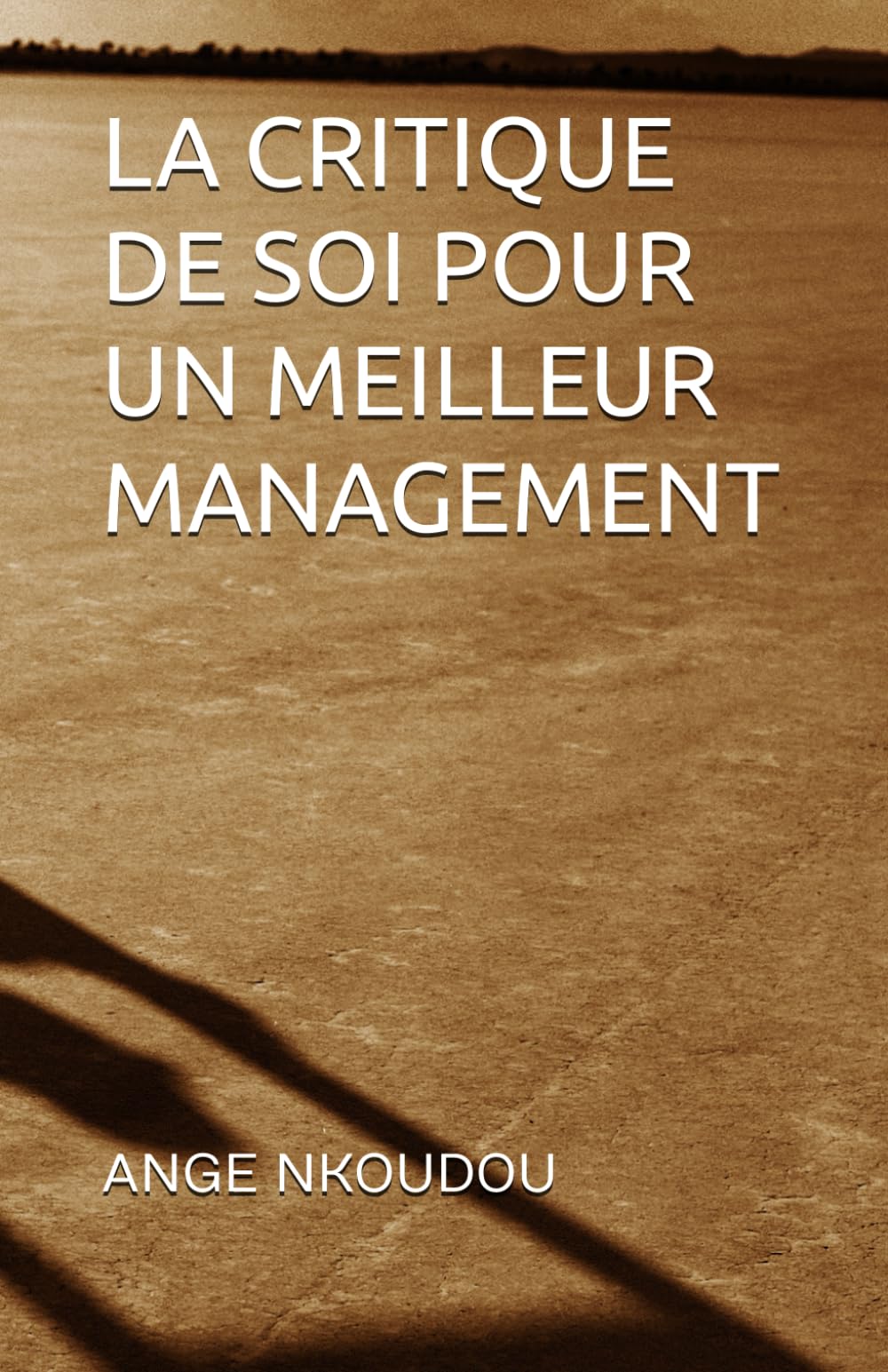LA CRITIQUE DE SOI POUR UN MEILLEUR MANAGEMENT book