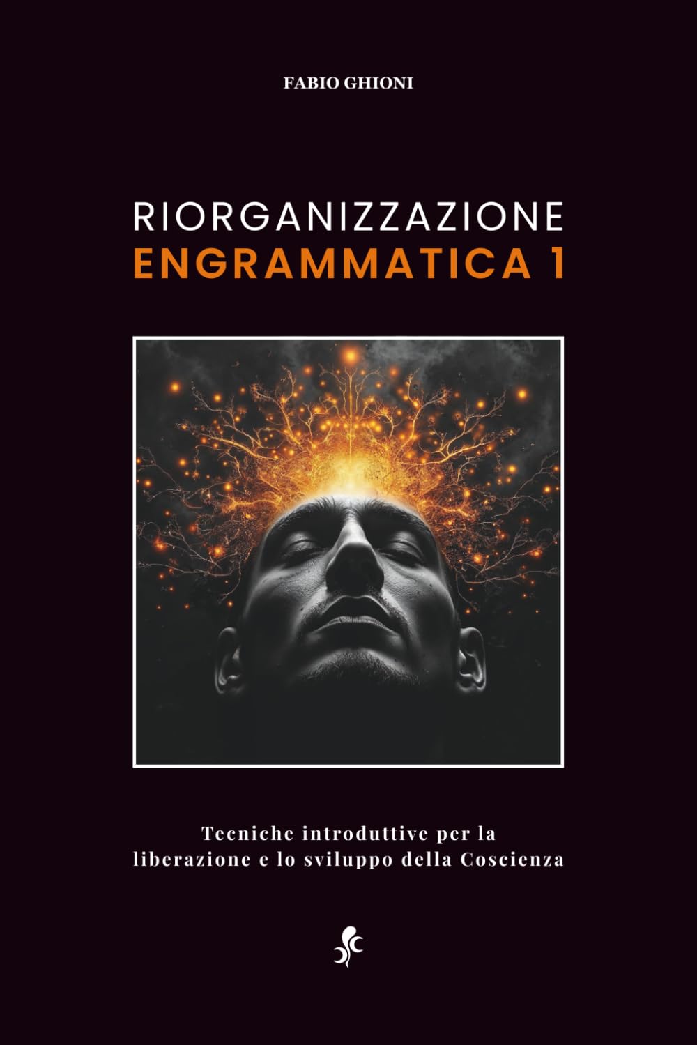 RIORGANIZZAZIONE ENGRAMMATICA: Tecniche per la liberazione e lo sviluppo della Coscienza book
